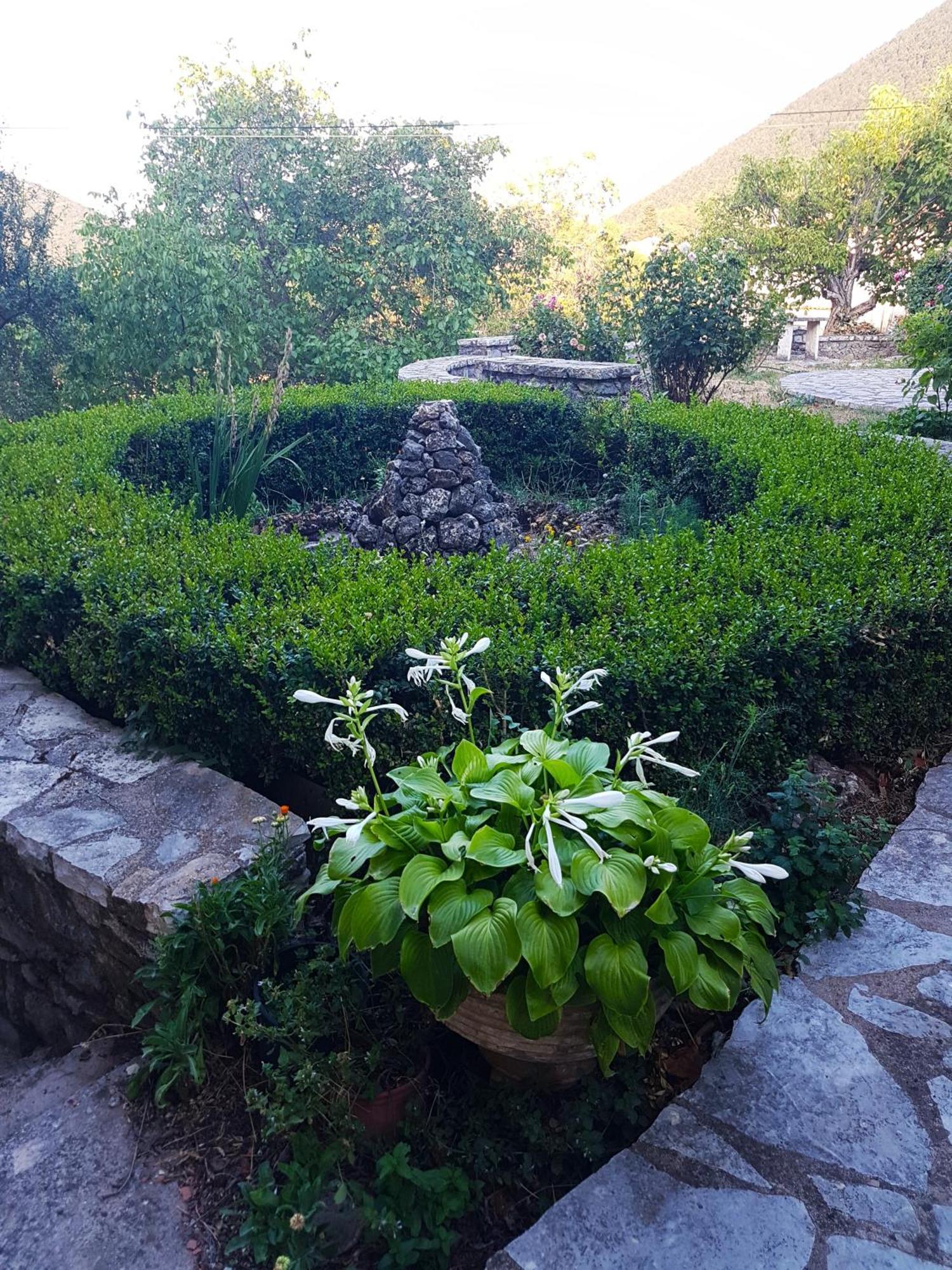 Apartmán Το Αλώνι Vlacherna Exteriér fotografie