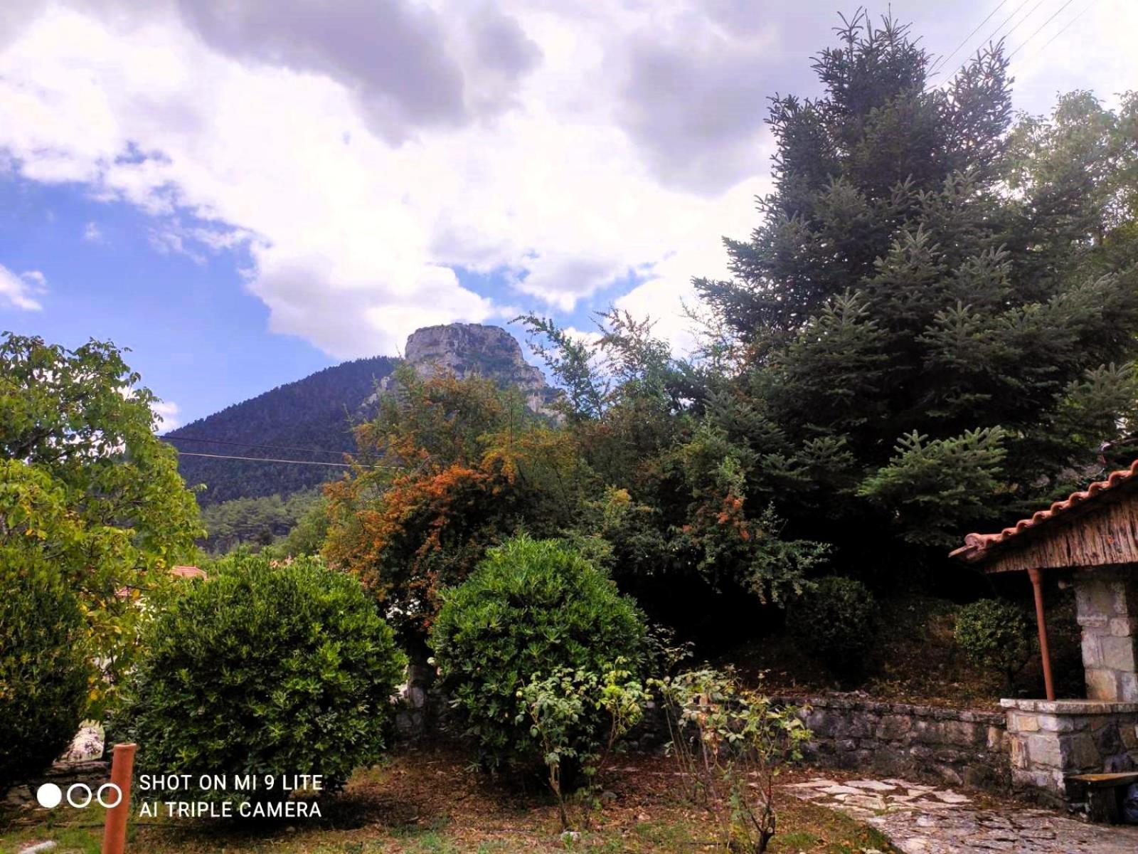 Apartmán Το Αλώνι Vlacherna Exteriér fotografie